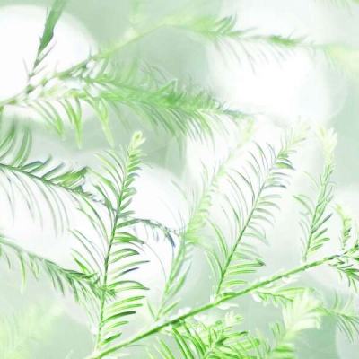 霍尔木兹海峡受阻 亚洲多国遭遇能源与汇率双重危机